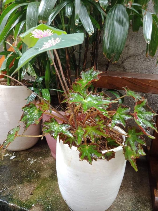 Burgos Hub Hostel Pasay Dış mekan fotoğraf